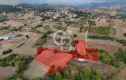 YALOVA ALTINOVA AHMEDİYEDE 10.068 M²|KADASTRO YOLU+ELEKTRİK+SU