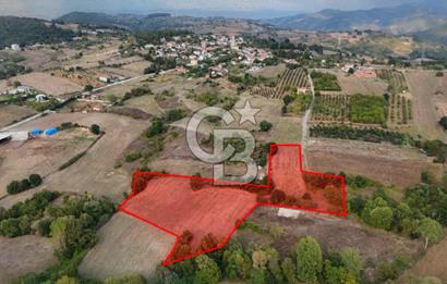 YALOVA ALTINOVA AHMEDİYEDE 10.068 M²|KADASTRO YOLU+ELEKTRİK+SU