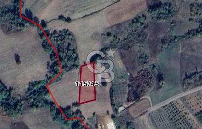 YALOVA ALTINOVA AHMEDİYEDE 10.068 M²|KADASTRO YOLU+ELEKTRİK+SU