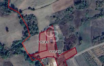 YALOVA ALTINOVA AHMEDİYEDE 10.068 M²|KADASTRO YOLU+ELEKTRİK+SU