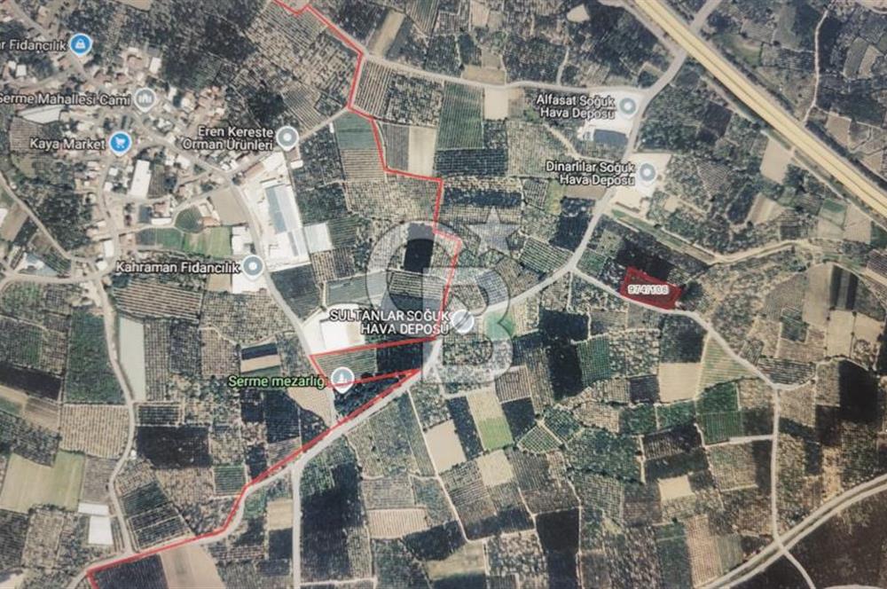 BURSA BARAKFAKİH DE 5089,36 M2 SATILIK BAKIMLI ŞEFTALİ BAHÇESİ
