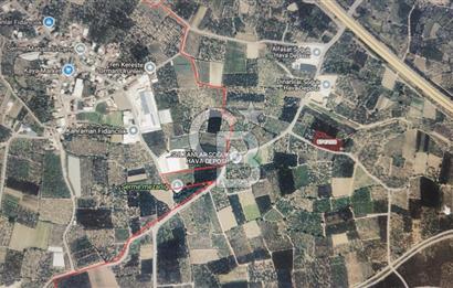 BURSA BARAKFAKİH DE 5089,36 M2 SATILIK BAKIMLI ŞEFTALİ BAHÇESİ