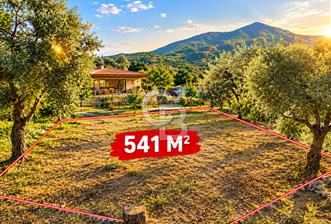 Aydın Bozdoğan Satılık Köy İçi İmarlı Uygun Fırsat Tarla - 1 - 374226