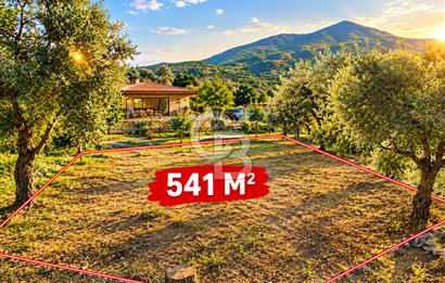 Aydın Bozdoğan Satılık Köy İçi İmarlı Uygun Fırsat Tarla