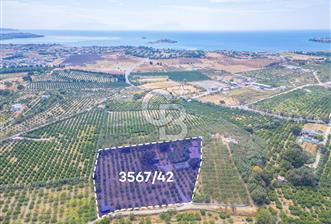 SEFERİHİSAR HIDIRLIK 8.662M² SATILIK TARLA - 4 - 374198