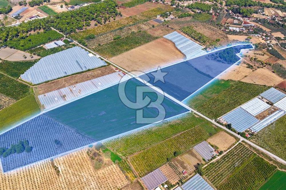 Muğla Seydikemer'de 178 Dönüm Arazi