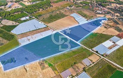 Muğla Seydikemer'de 178 Dönüm Arazi