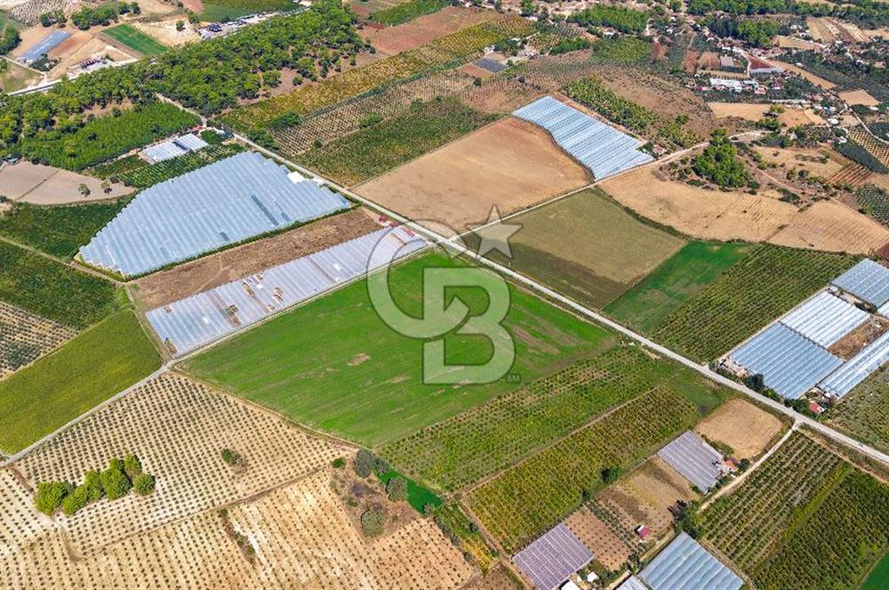 Muğla Seydikemer'de 178 Dönüm Arazi
