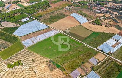 Muğla Seydikemer'de 178 Dönüm Arazi