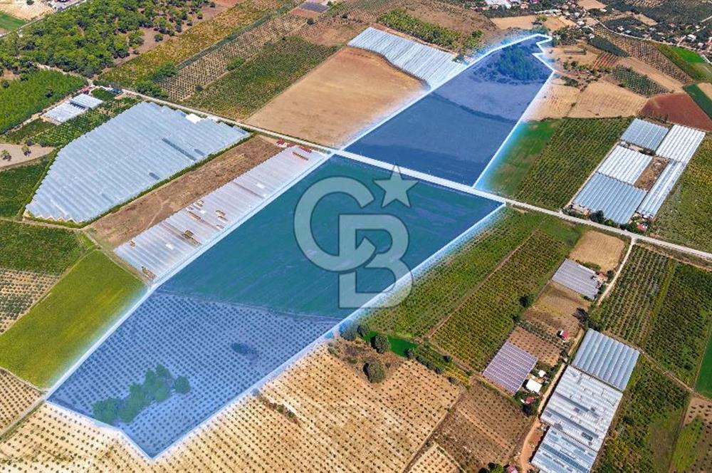 Muğla Seydikemer'de 178 Dönüm Arazi
