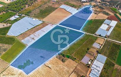 Muğla Seydikemer'de 178 Dönüm Arazi