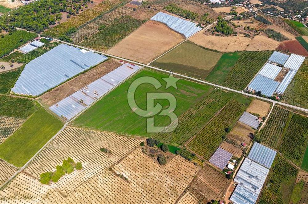 Muğla Seydikemer'de 178 Dönüm Arazi