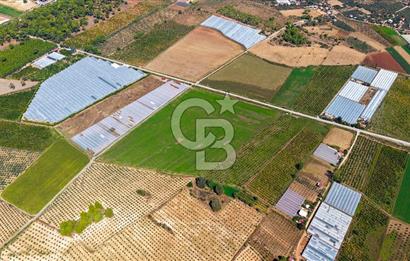 Muğla Seydikemer'de 178 Dönüm Arazi