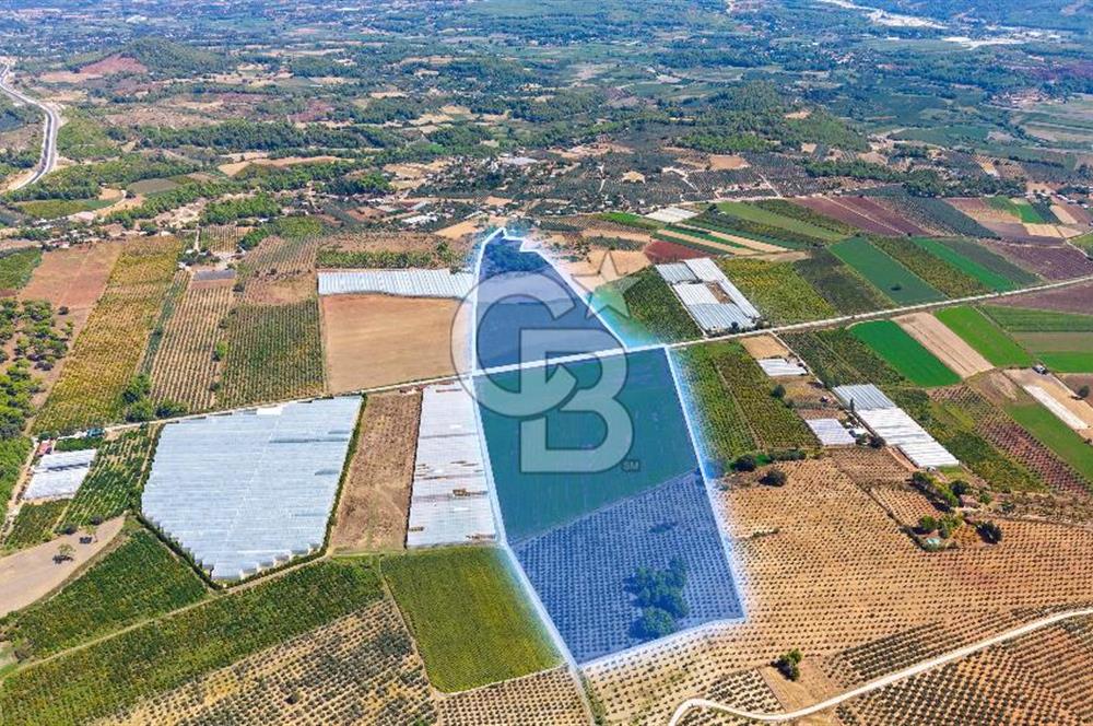 Muğla Seydikemer'de 178 Dönüm Arazi