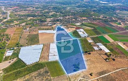 Muğla Seydikemer'de 178 Dönüm Arazi