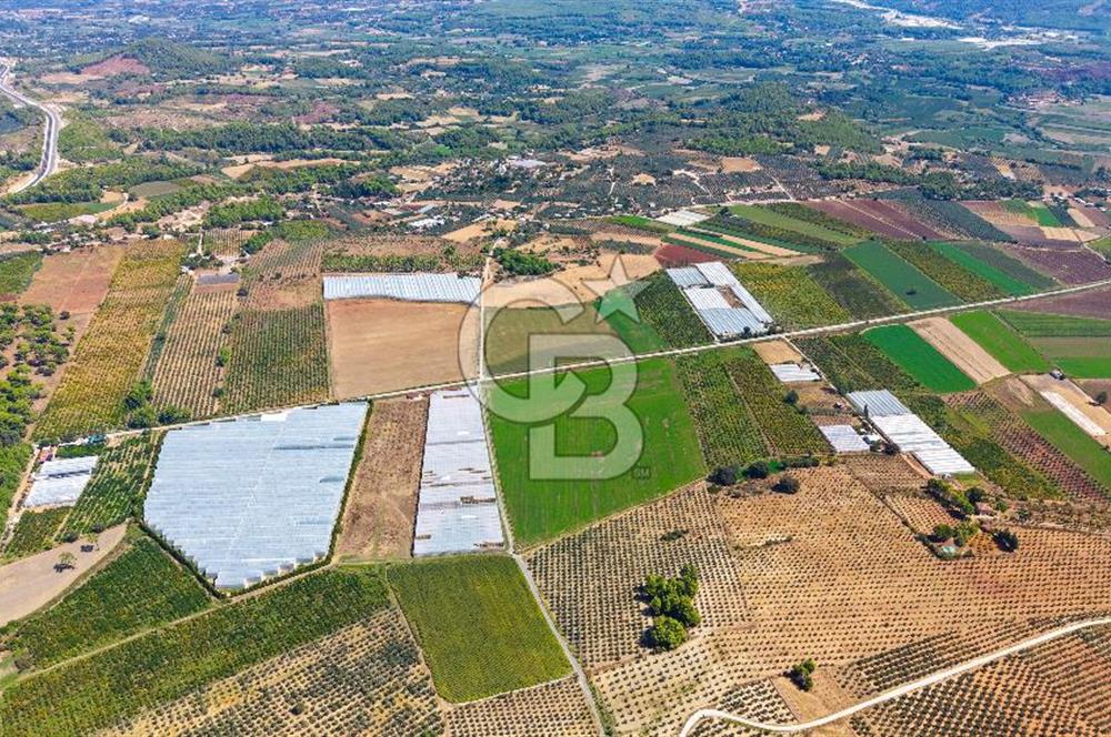 Muğla Seydikemer'de 178 Dönüm Arazi