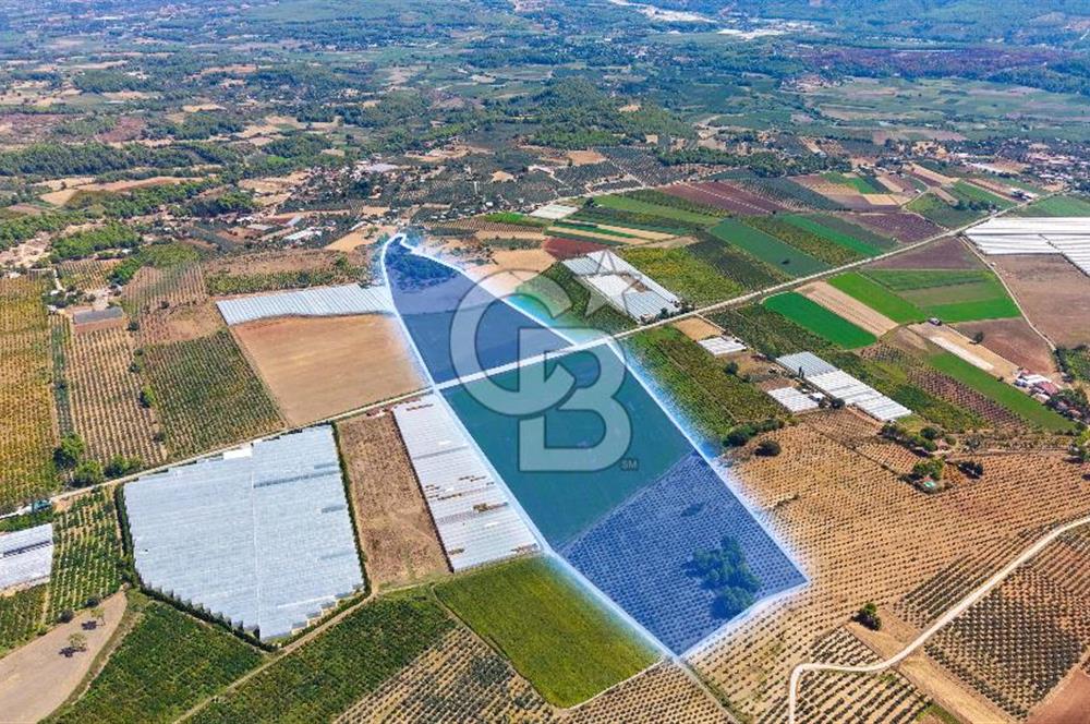 Muğla Seydikemer'de 178 Dönüm Arazi