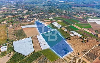 Muğla Seydikemer'de 178 Dönüm Arazi