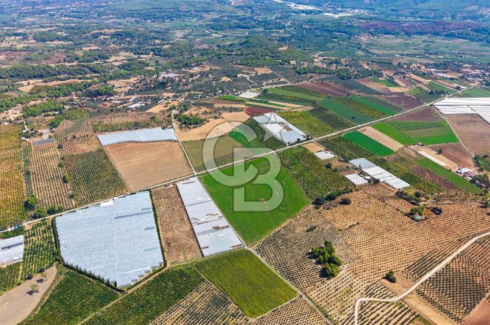 Muğla Seydikemer'de 178 Dönüm Arazi