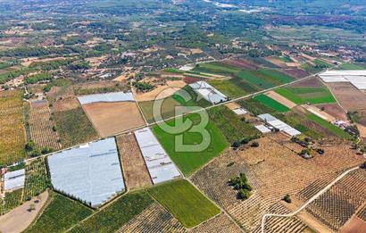 Muğla Seydikemer'de 178 Dönüm Arazi