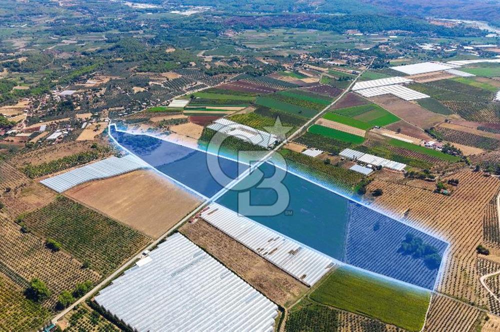 Muğla Seydikemer'de 178 Dönüm Arazi