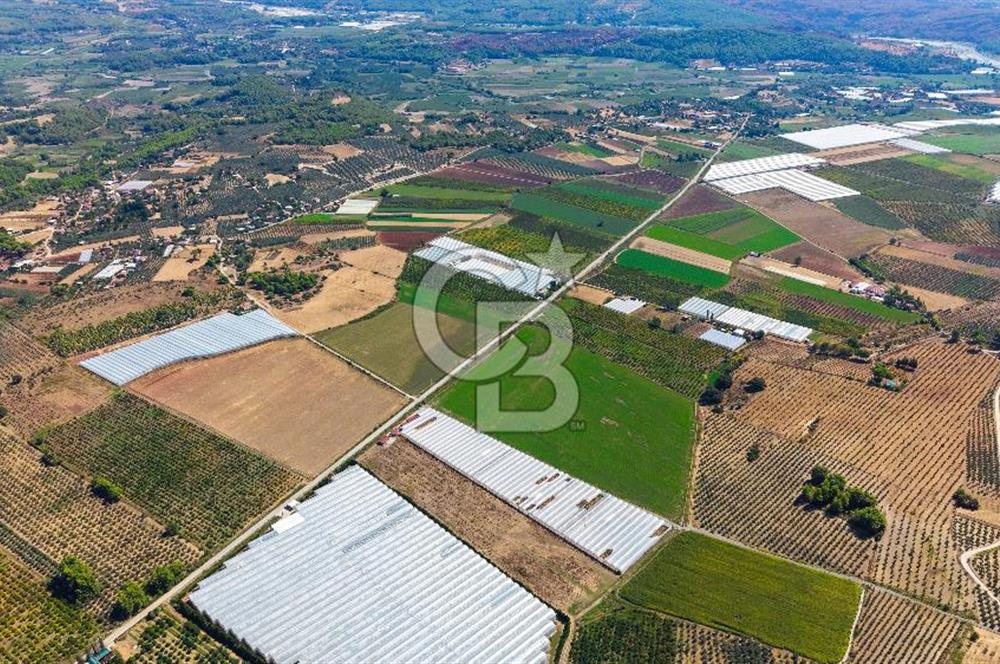 Muğla Seydikemer'de 178 Dönüm Arazi