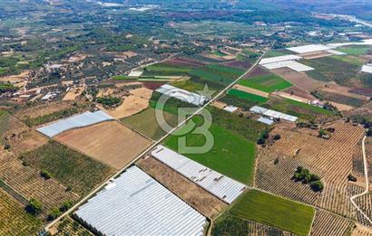 Muğla Seydikemer'de 178 Dönüm Arazi