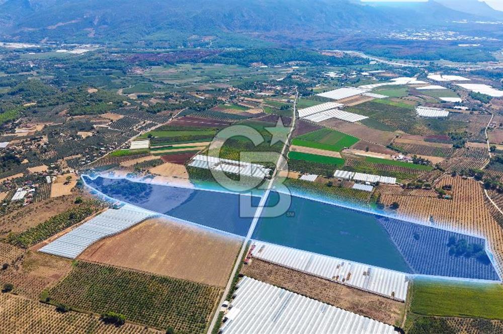 Muğla Seydikemer'de 178 Dönüm Arazi
