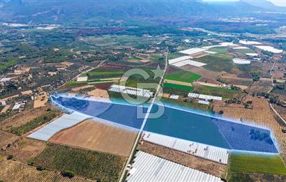 Muğla Seydikemer'de 178 Dönüm Arazi
