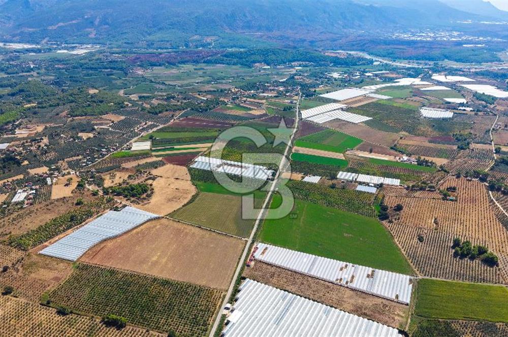 Muğla Seydikemer'de 178 Dönüm Arazi