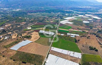 Muğla Seydikemer'de 178 Dönüm Arazi