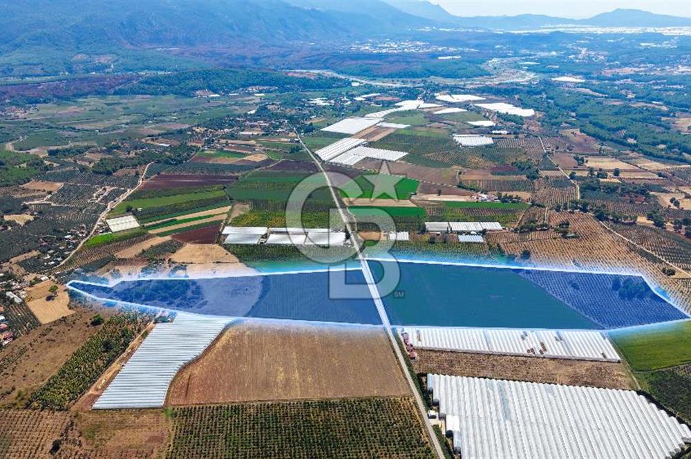 Muğla Seydikemer'de 178 Dönüm Arazi
