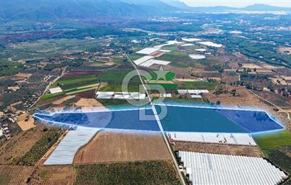 Muğla Seydikemer'de 178 Dönüm Arazi