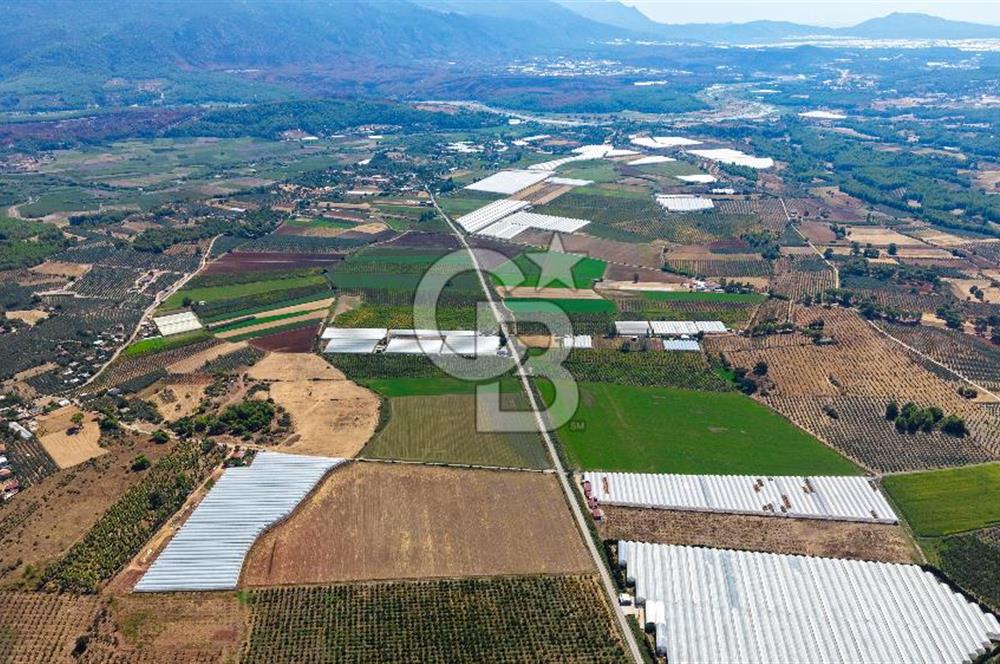 Muğla Seydikemer'de 178 Dönüm Arazi