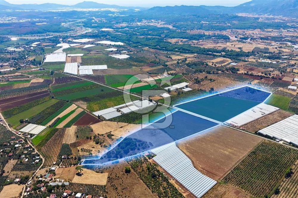 Muğla Seydikemer'de 178 Dönüm Arazi