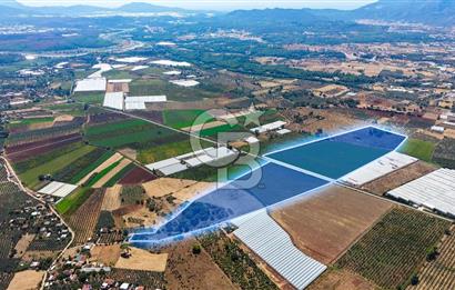 Muğla Seydikemer'de 178 Dönüm Arazi