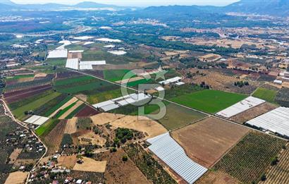 Muğla Seydikemer'de 178 Dönüm Arazi