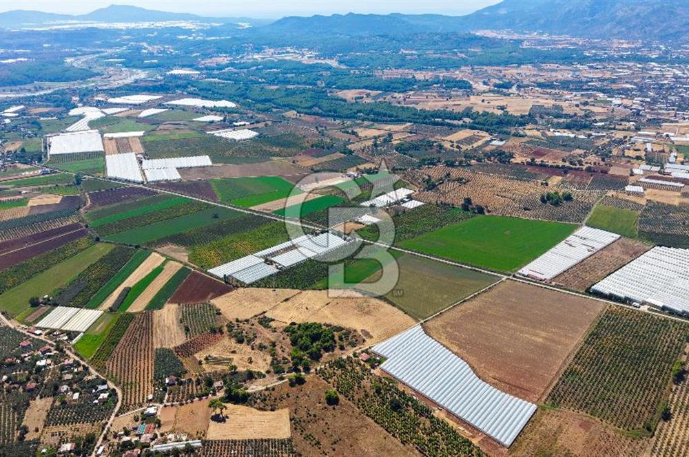 Muğla Seydikemer'de 178 Dönüm Arazi
