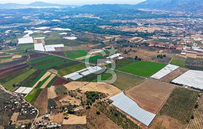 Muğla Seydikemer'de 178 Dönüm Arazi