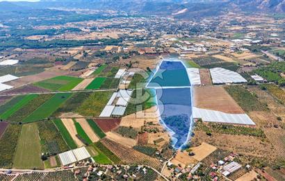 Muğla Seydikemer'de 178 Dönüm Arazi