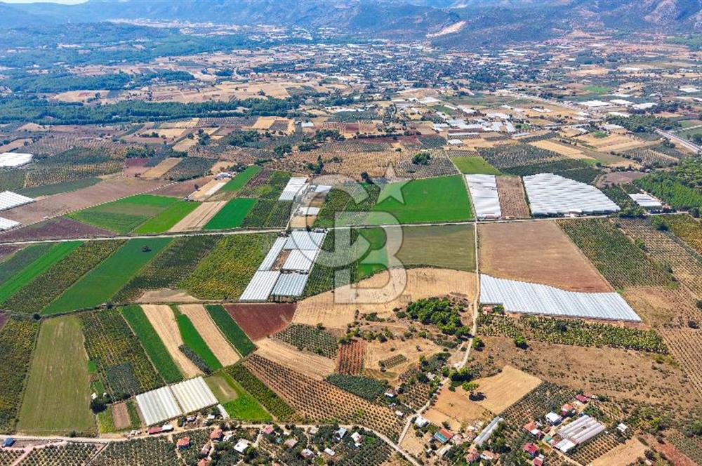 Muğla Seydikemer'de 178 Dönüm Arazi