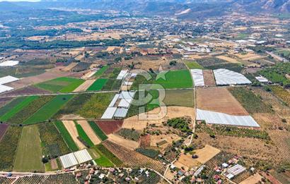 Muğla Seydikemer'de 178 Dönüm Arazi