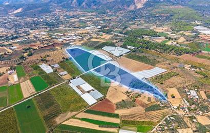 Muğla Seydikemer'de 178 Dönüm Arazi