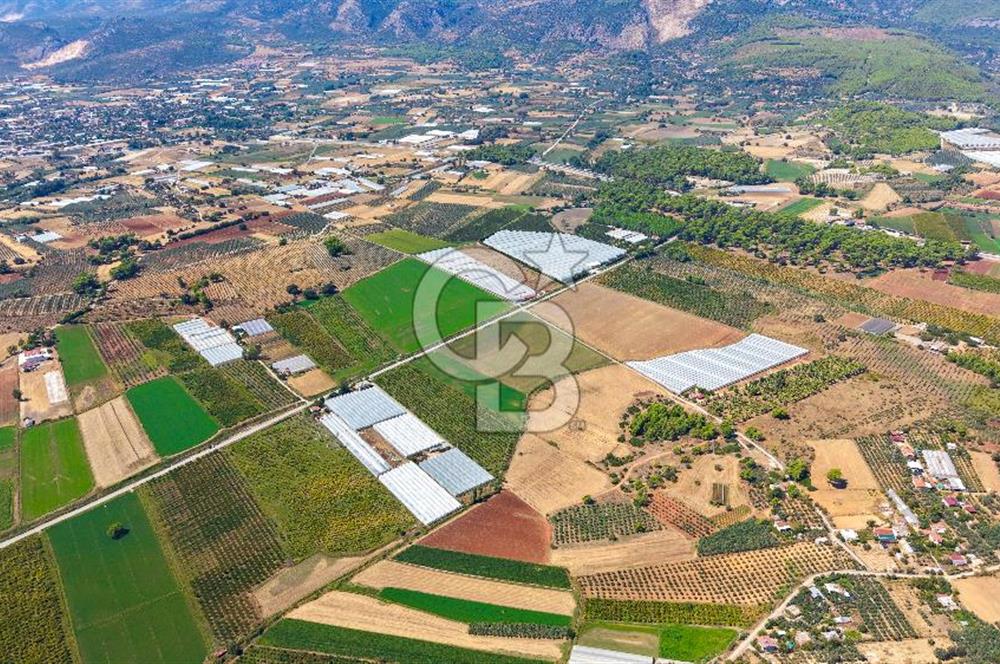 Muğla Seydikemer'de 178 Dönüm Arazi