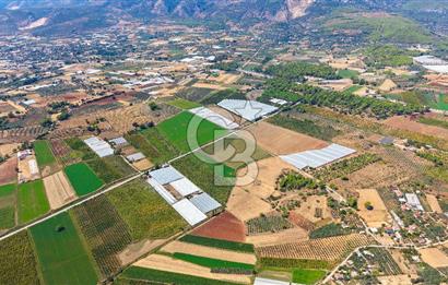 Muğla Seydikemer'de 178 Dönüm Arazi