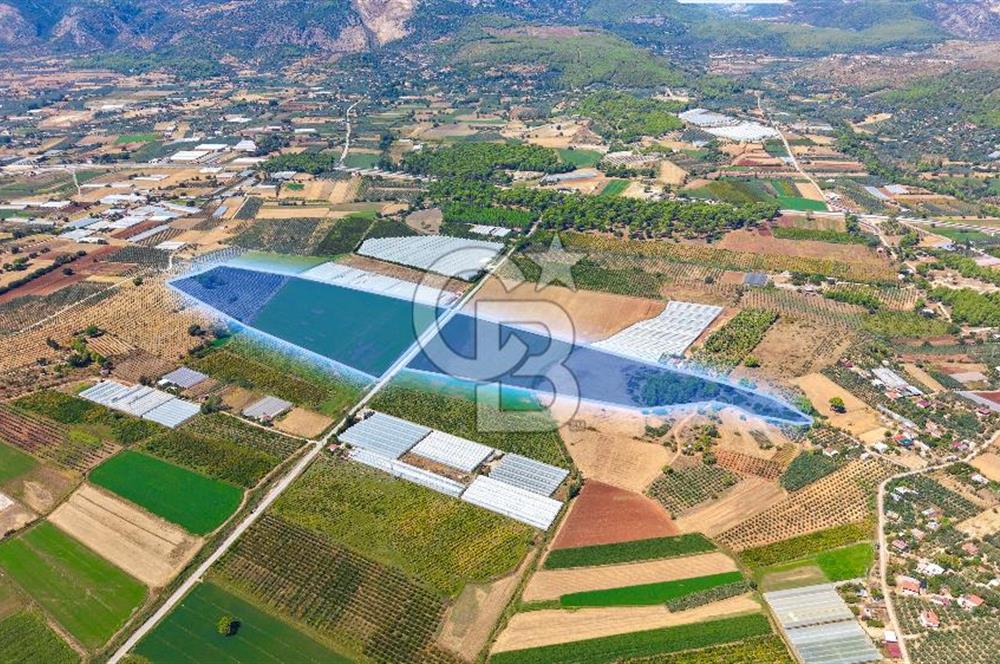 Muğla Seydikemer'de 178 Dönüm Arazi