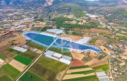 Muğla Seydikemer'de 178 Dönüm Arazi