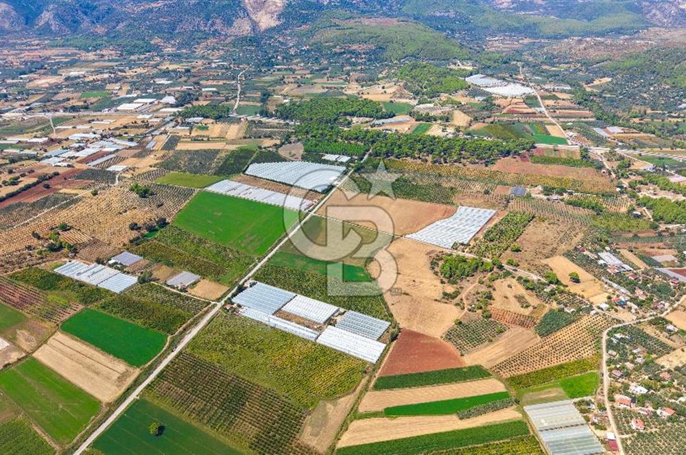 Muğla Seydikemer'de 178 Dönüm Arazi