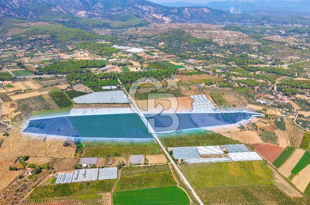 Muğla Seydikemer'de 178 Dönüm Arazi
