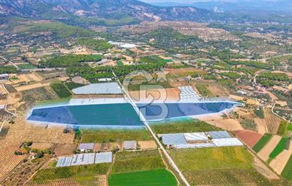 Muğla Seydikemer'de 178 Dönüm Arazi